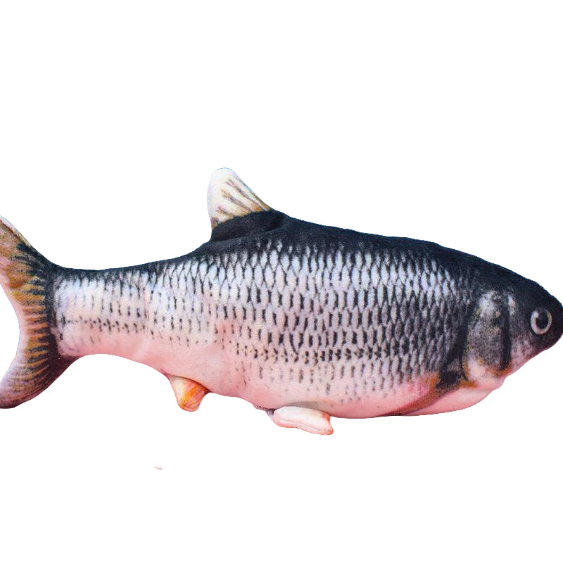 Peixe interativo felino